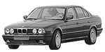 BMW E34 P0C2A Fault Code